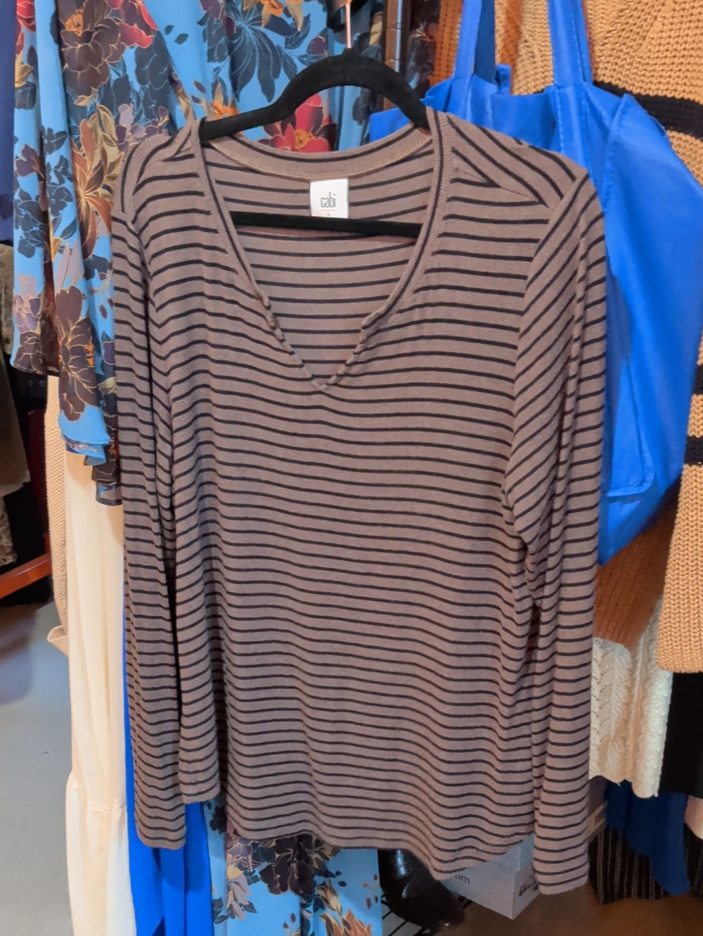 Taupe & Black Striped V-Neck Long Sleeve Top